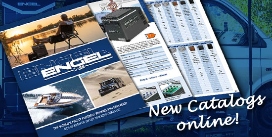 Zu unseren Katalogen